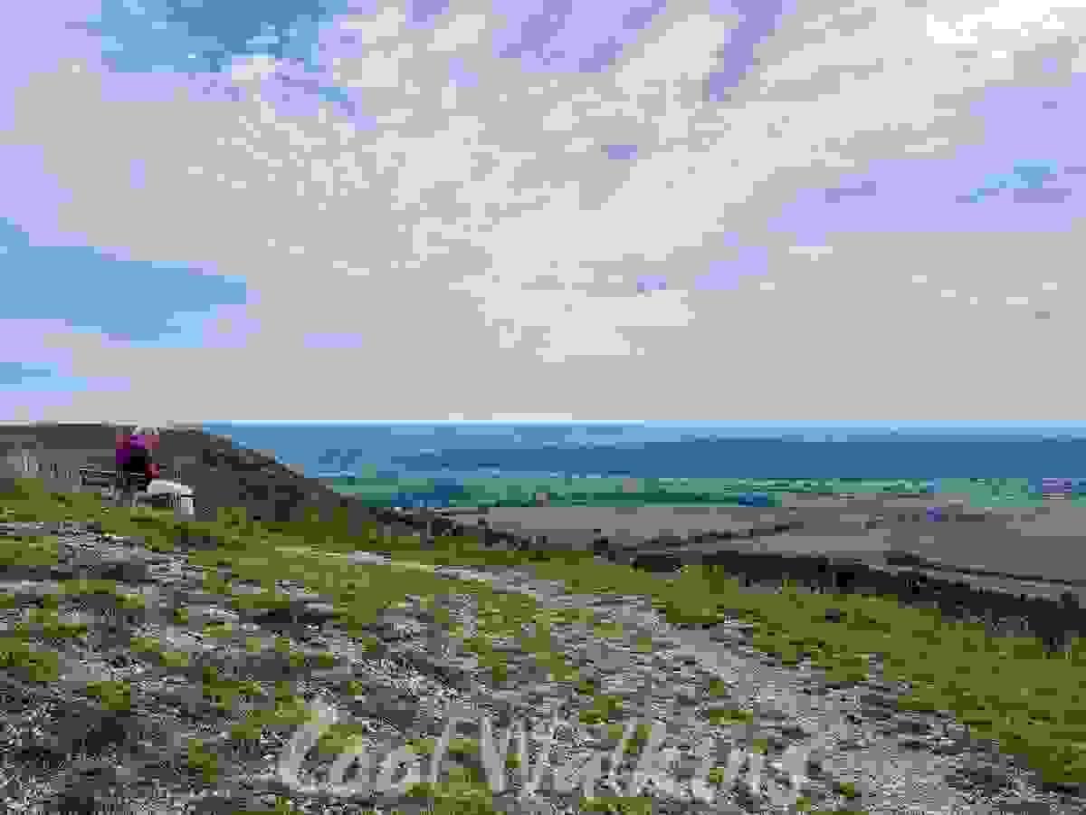Section image