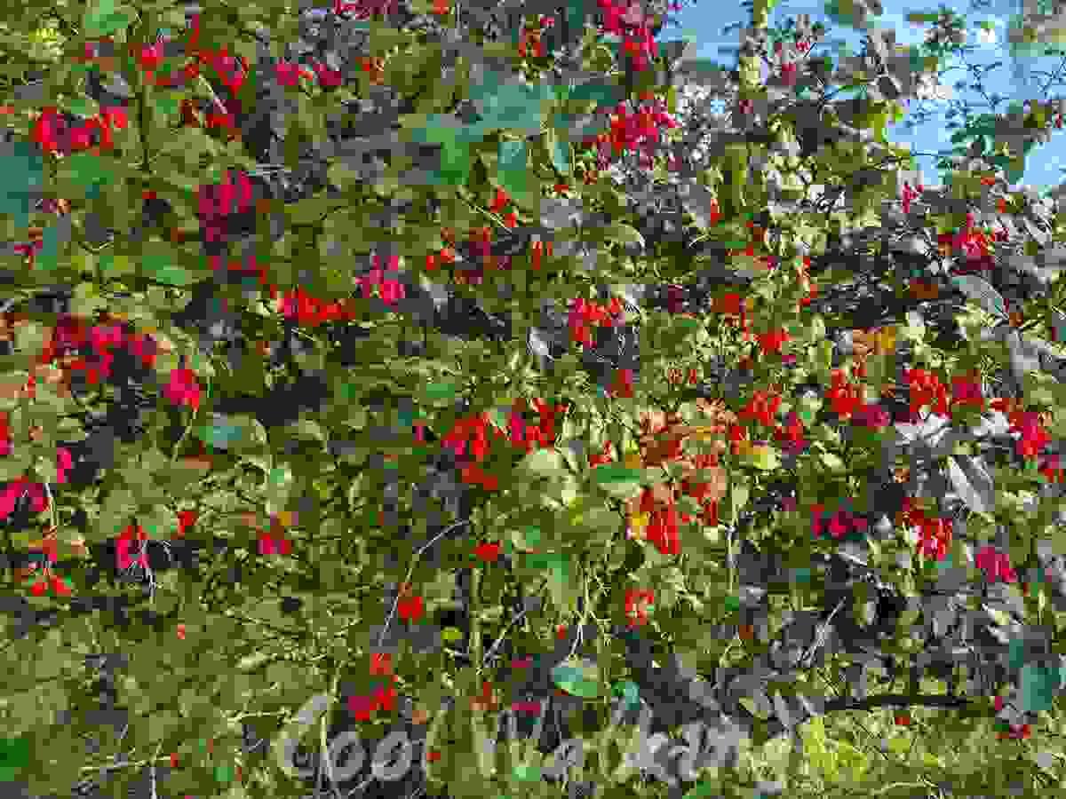 Section image