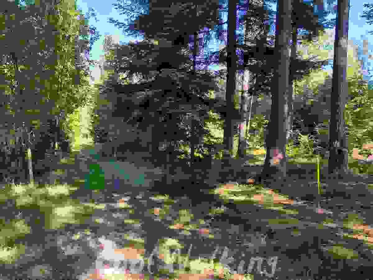 Section image