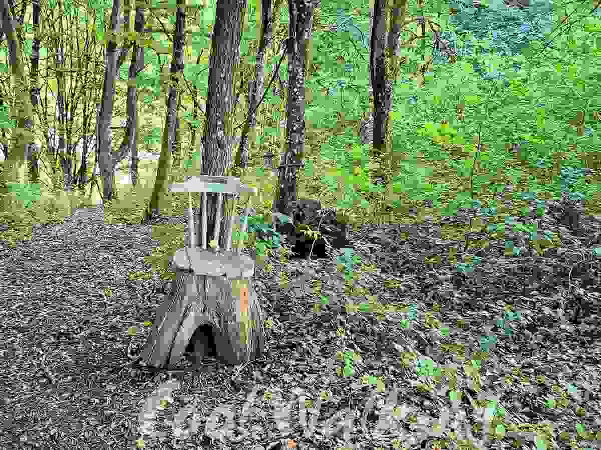 Section image