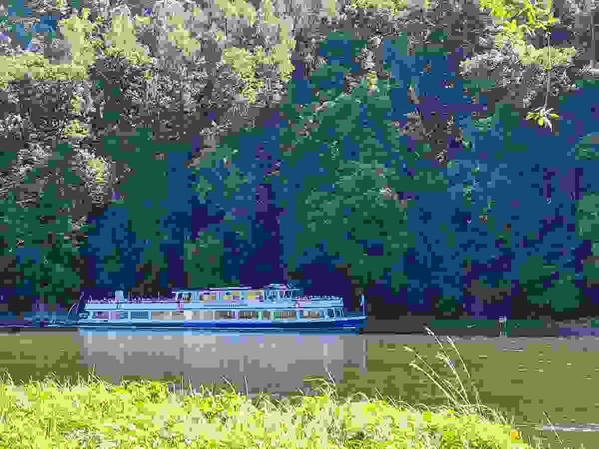 Section image