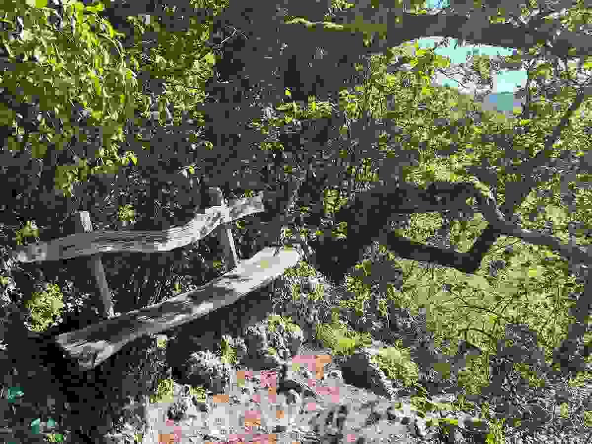 Section image
