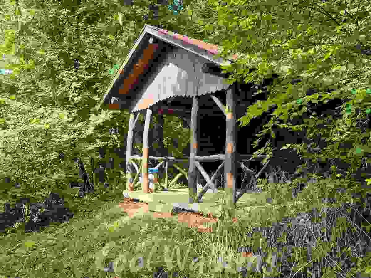 Section image