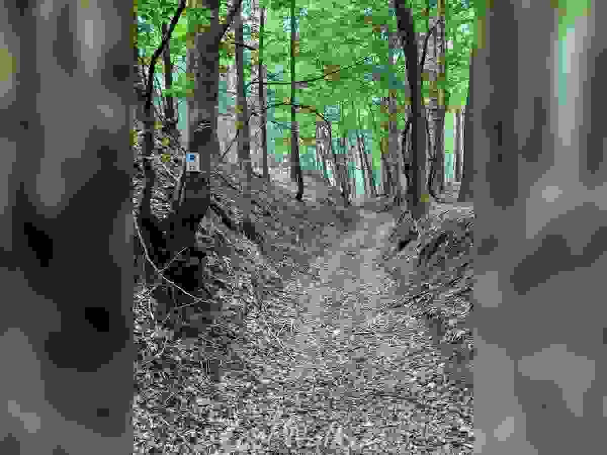 Section image