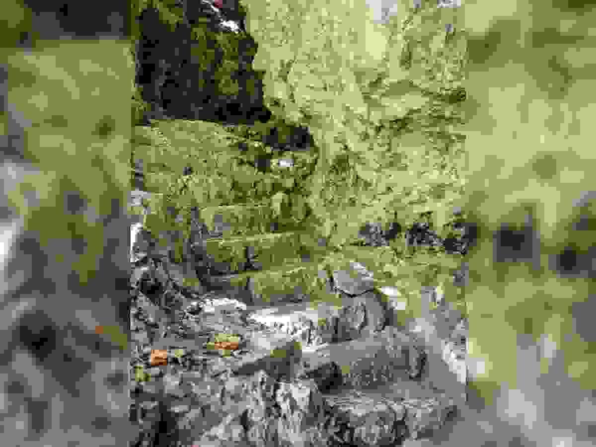 Section image