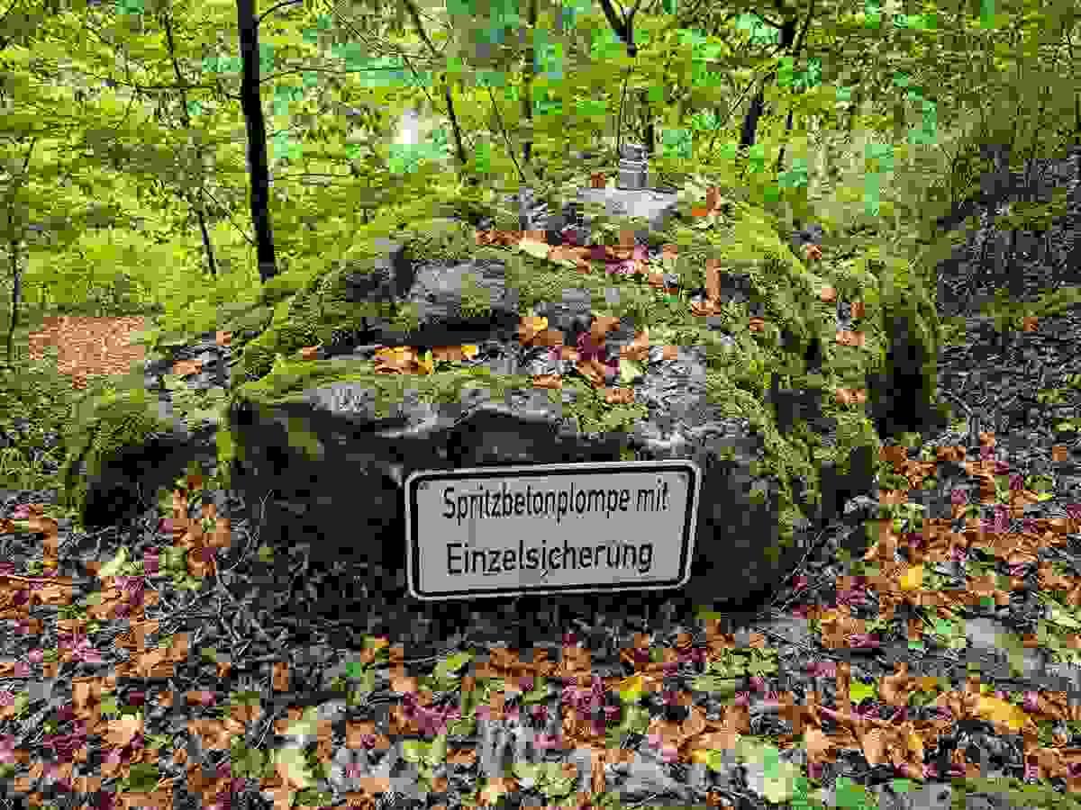 Section image