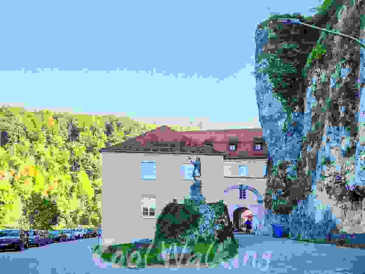 Section image