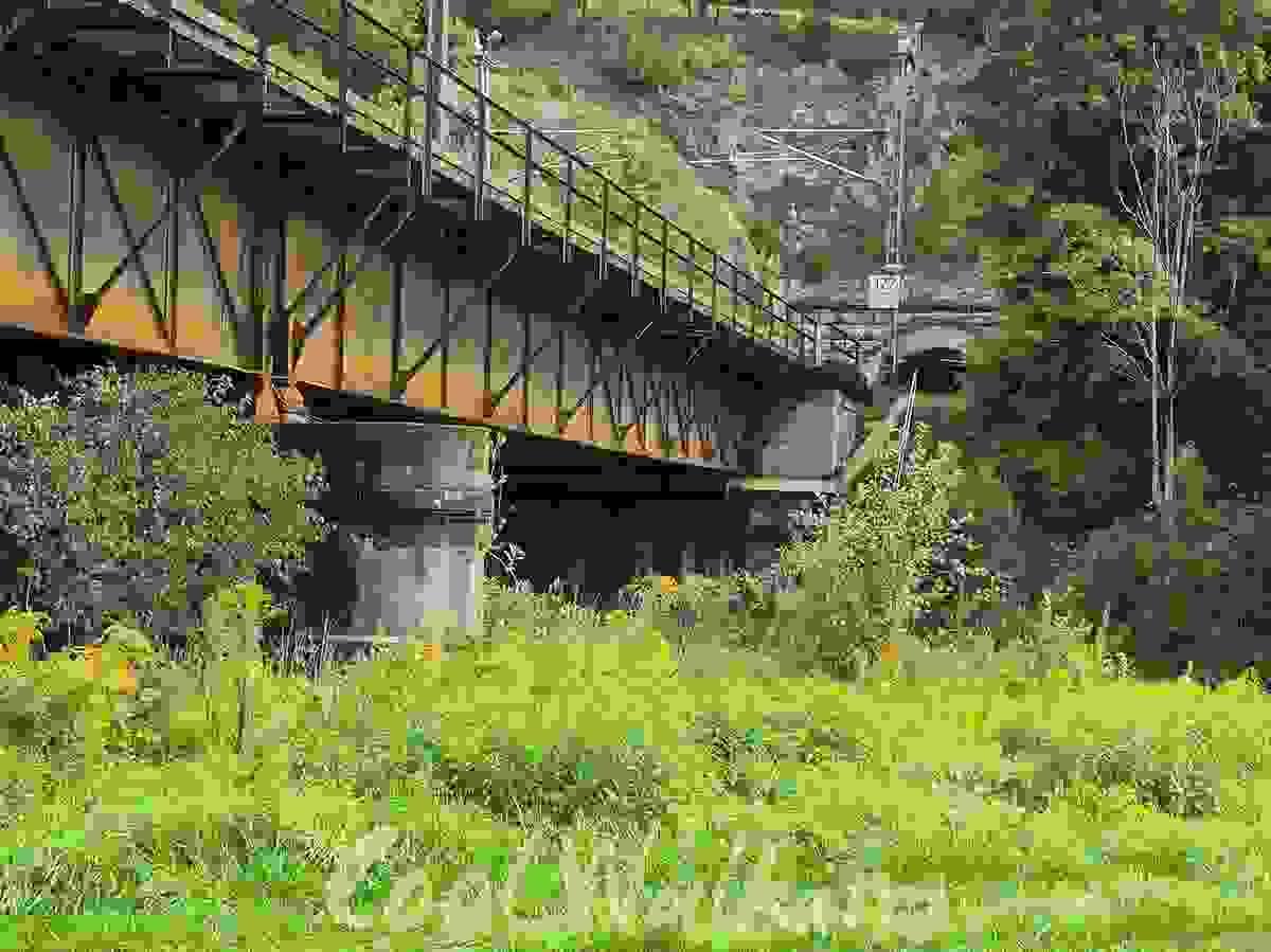Section image