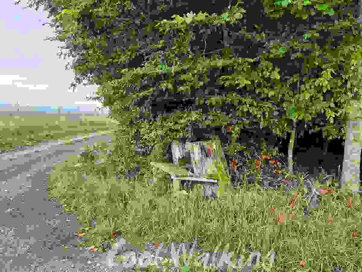 Section image