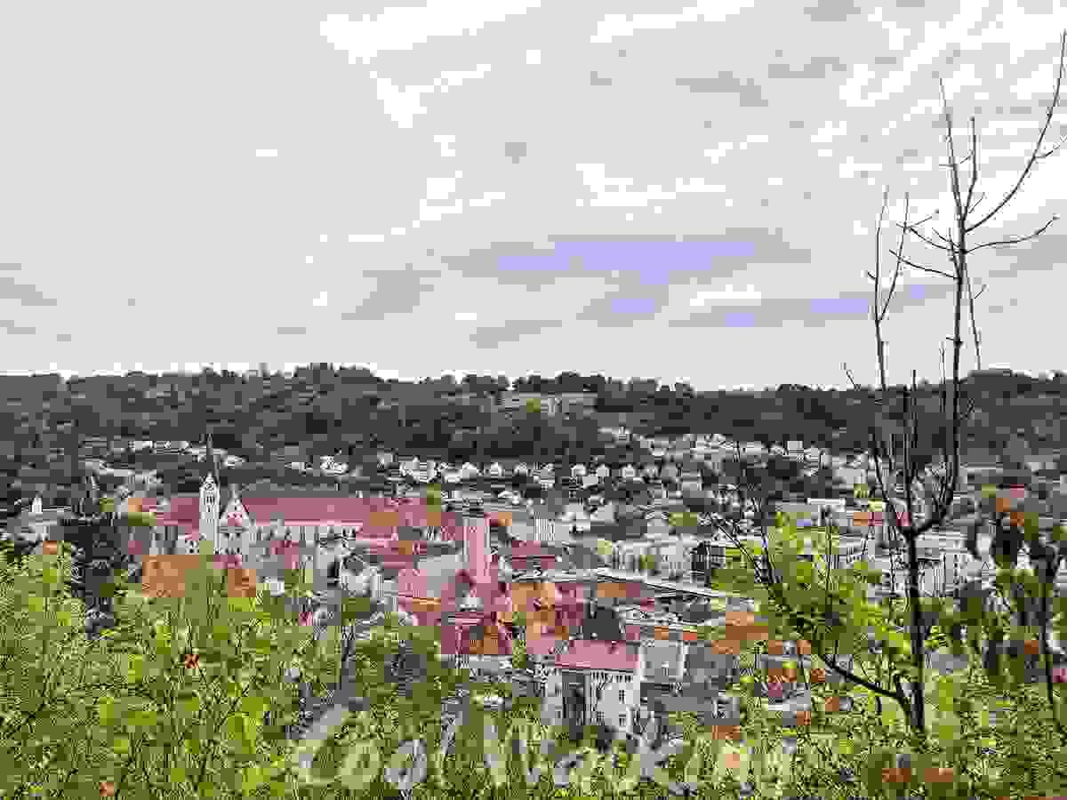 Section image