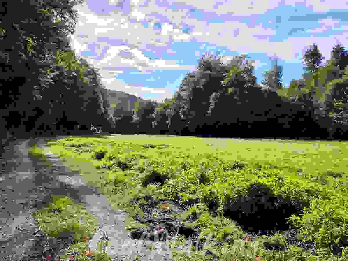 Section image