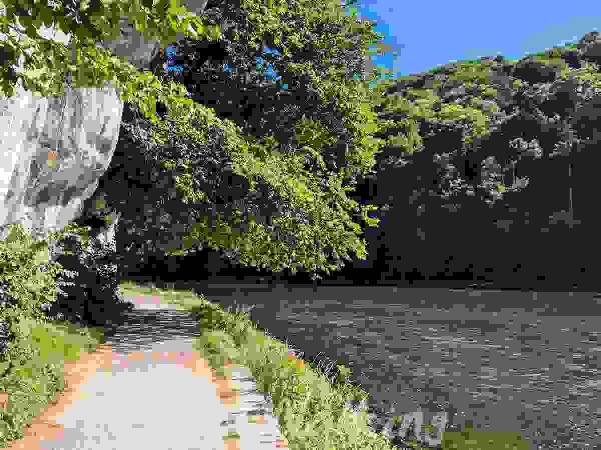Section image