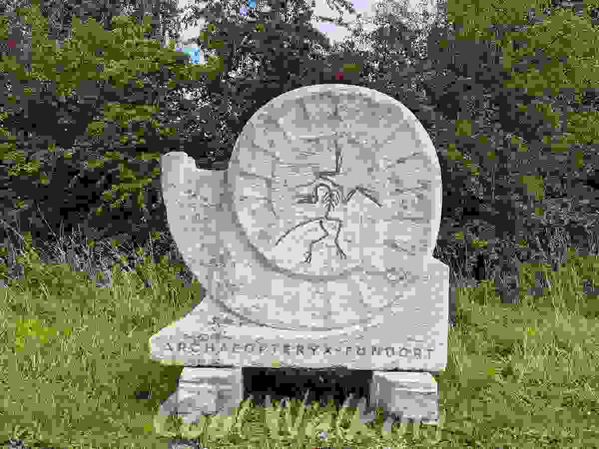 Section image