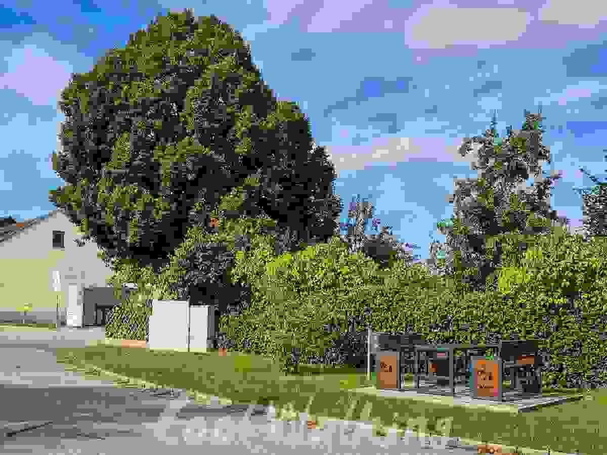 Section image