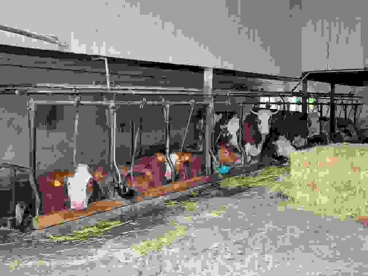 Section image