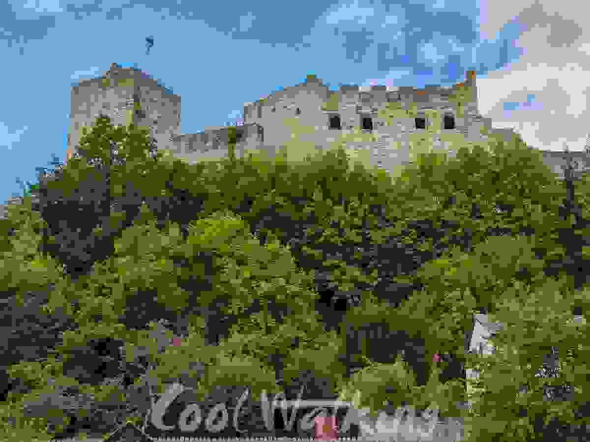 Section image