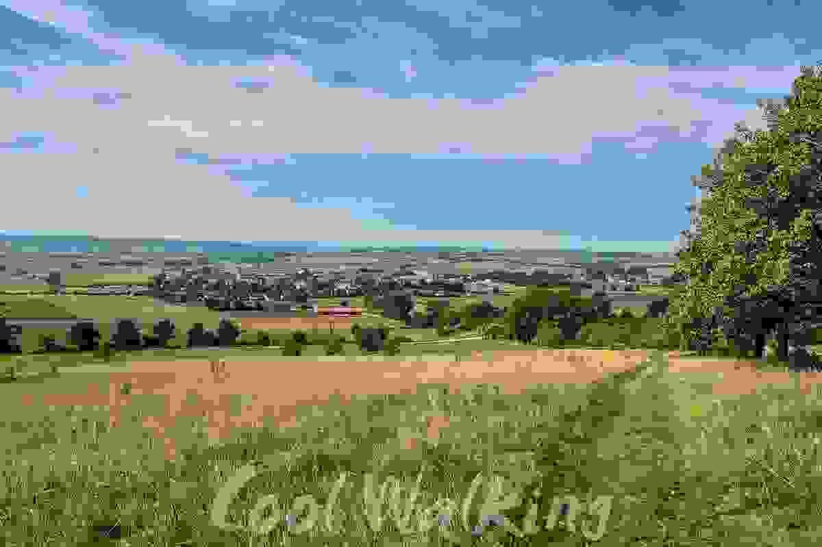 Section image