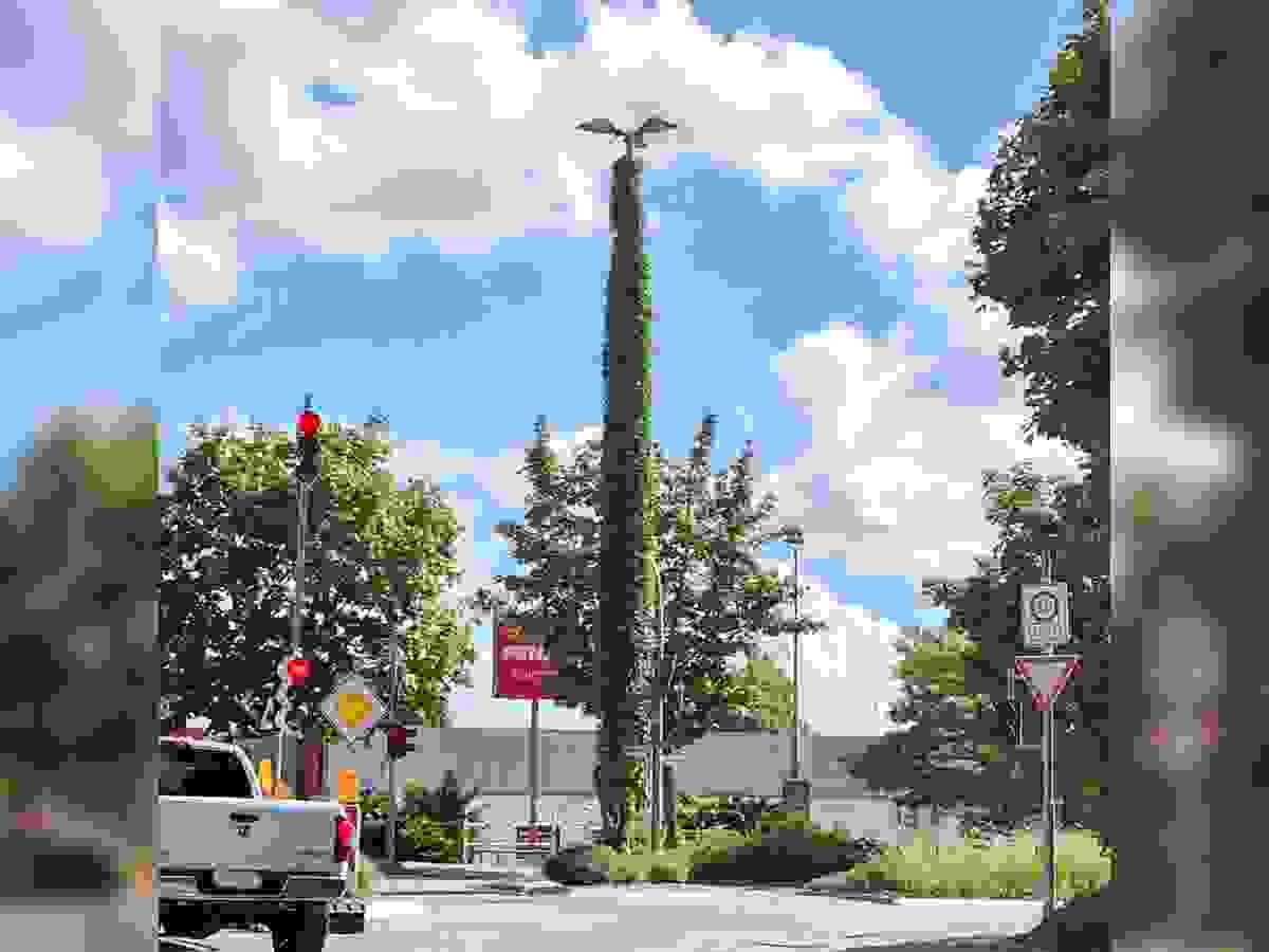 Section image