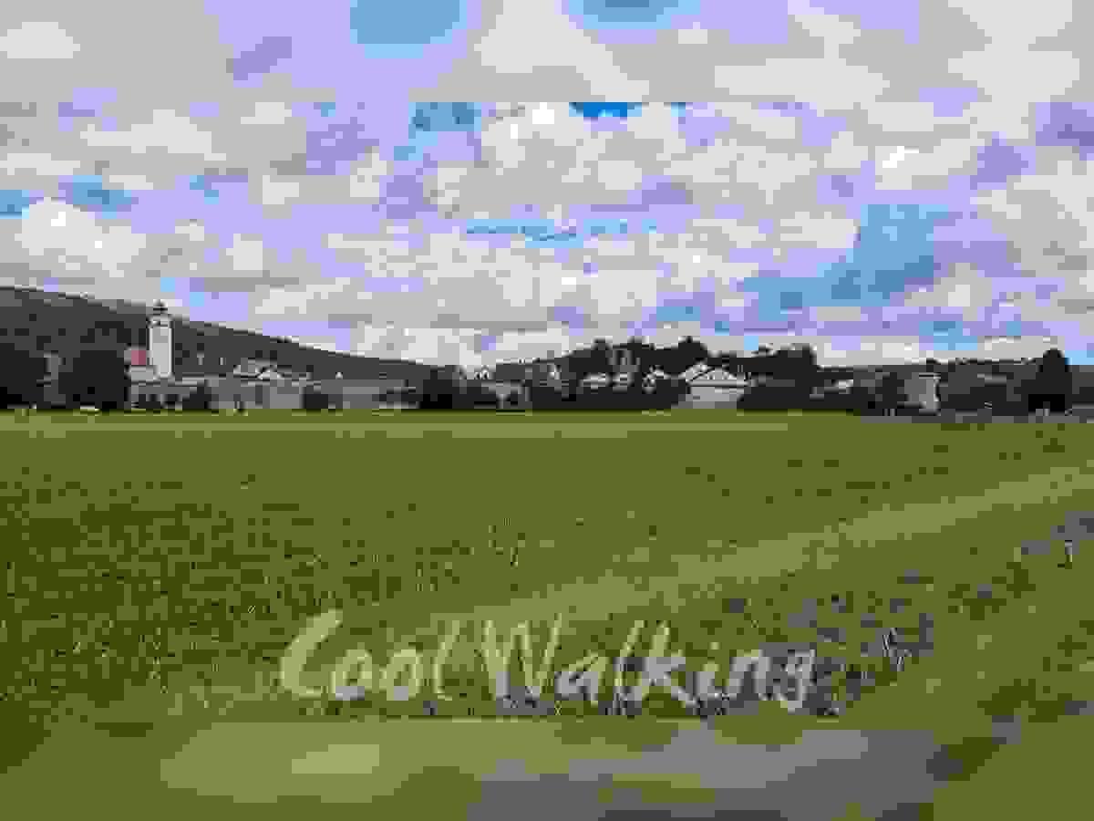Section image