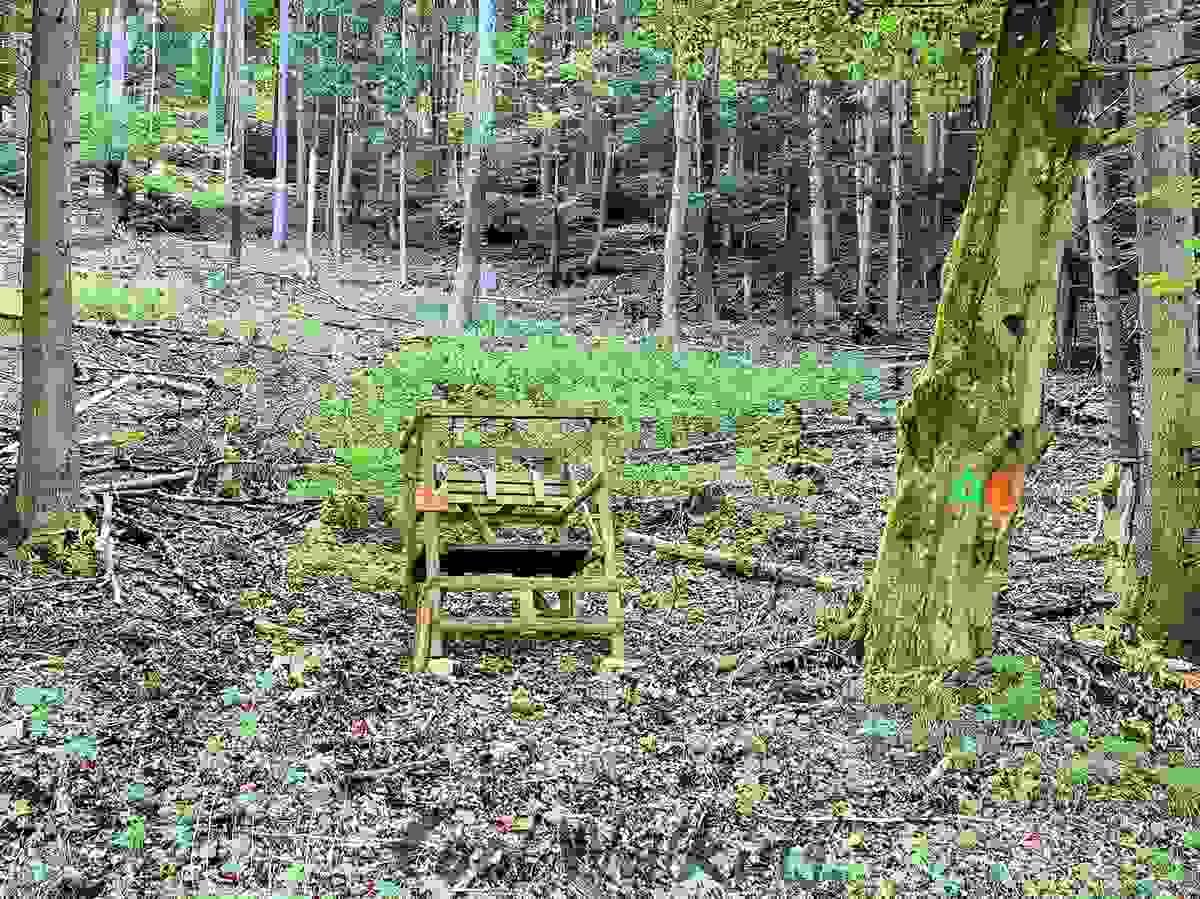 Section image