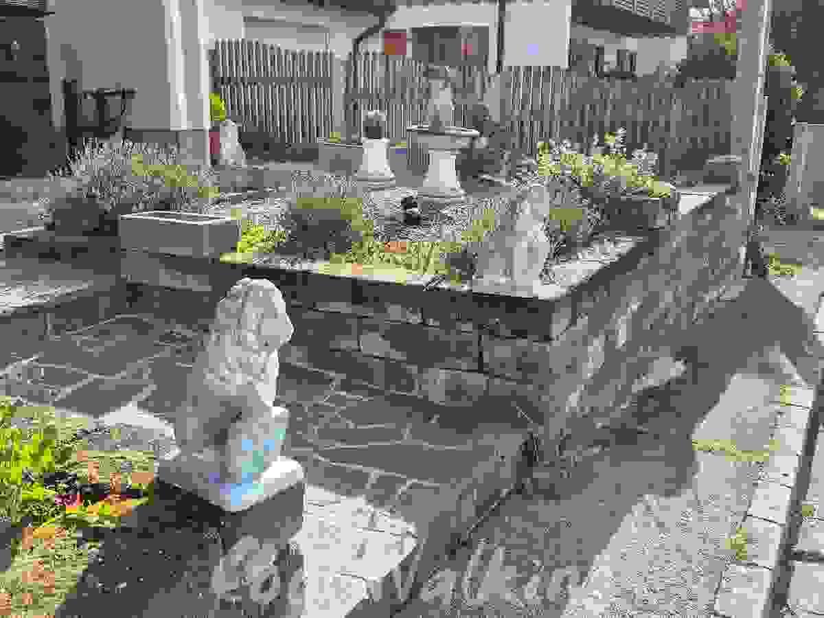 Section image