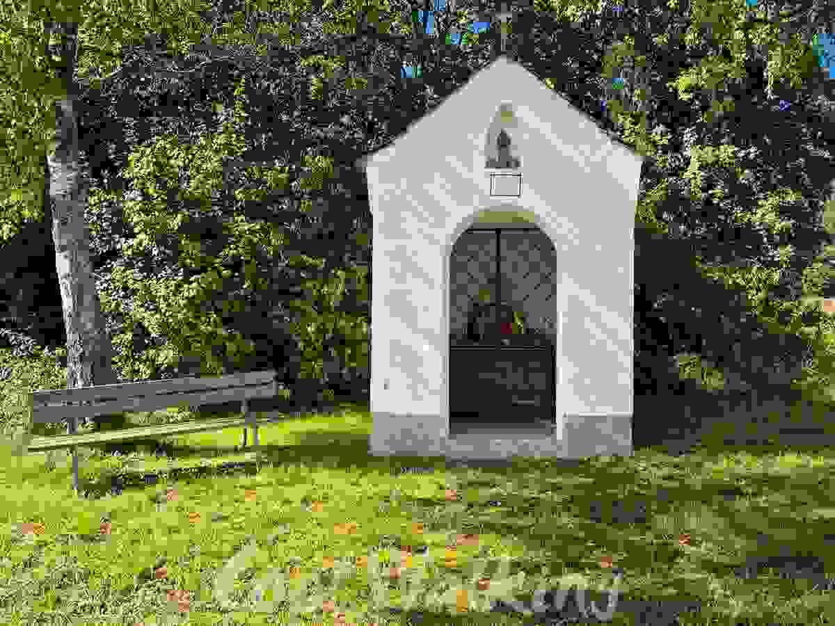 Section image