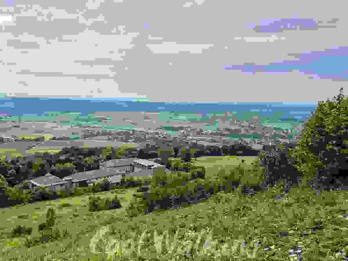 Section image