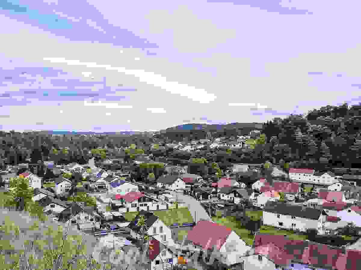 Section image