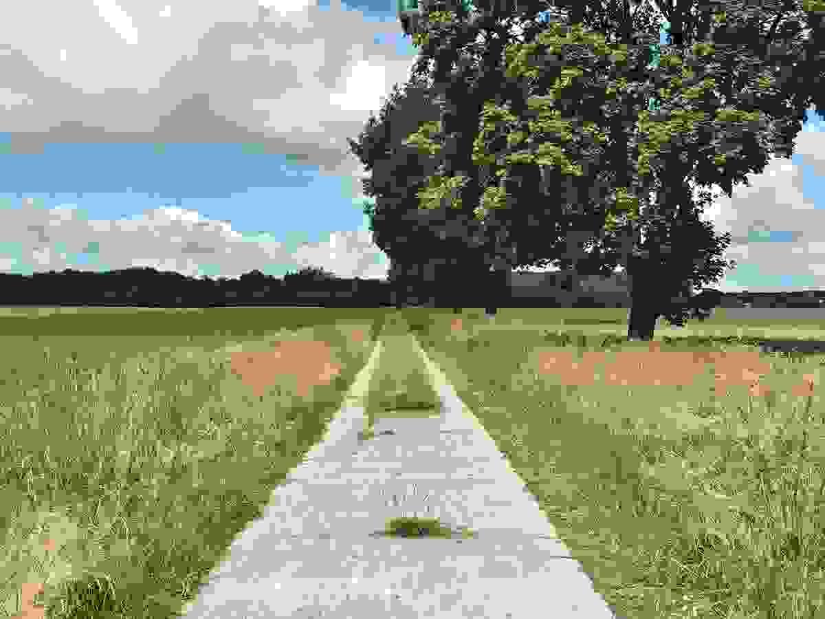 Section image
