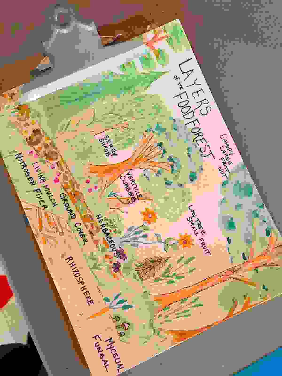 Section image