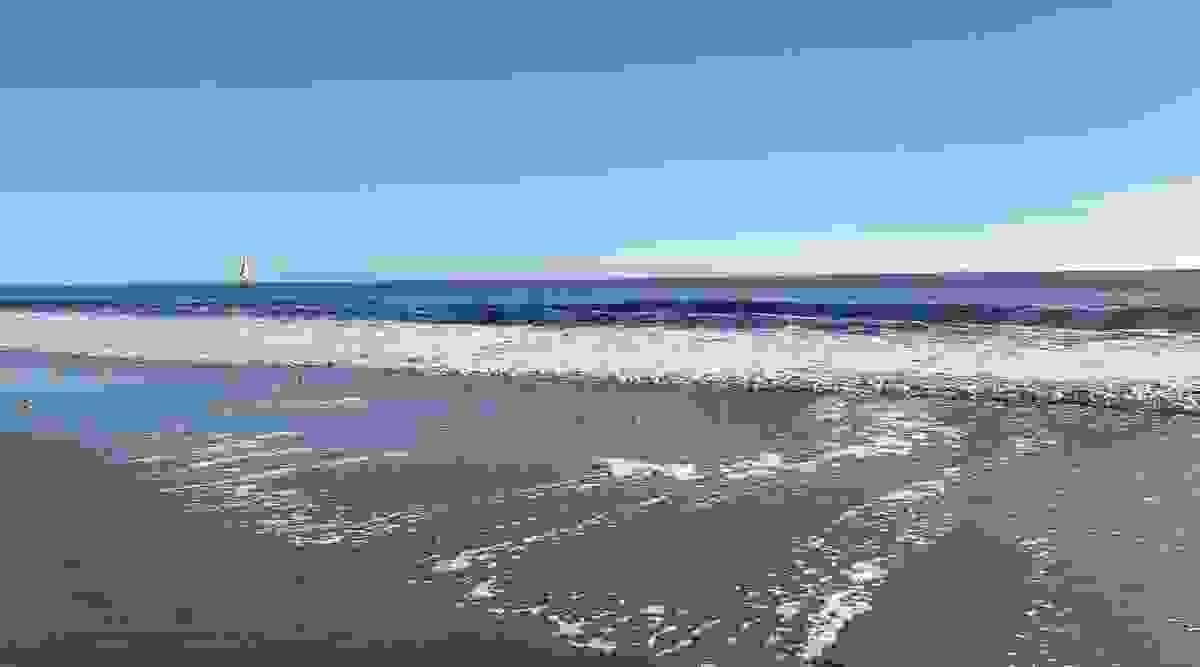 Section image