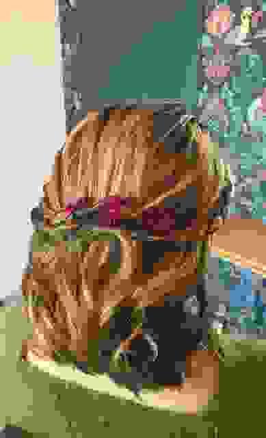 broken image