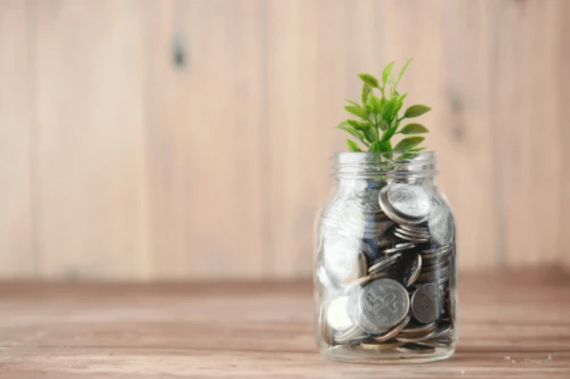 A glass jar filled with coins and a plant on a wooden surface