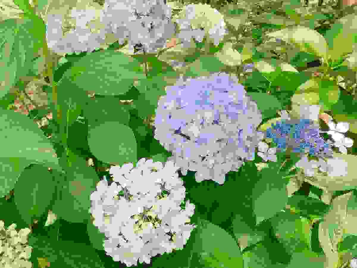 broken image