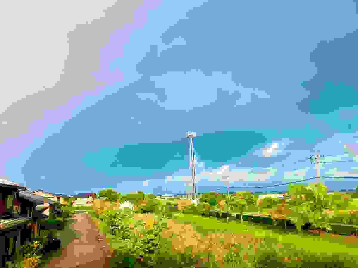 Section image