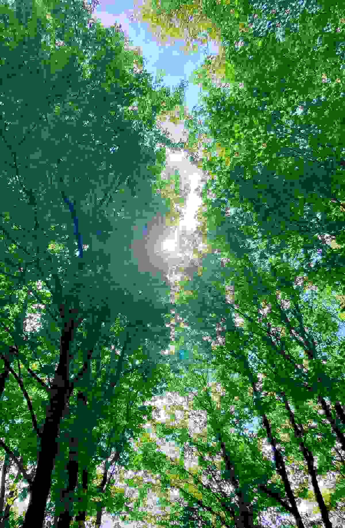 broken image