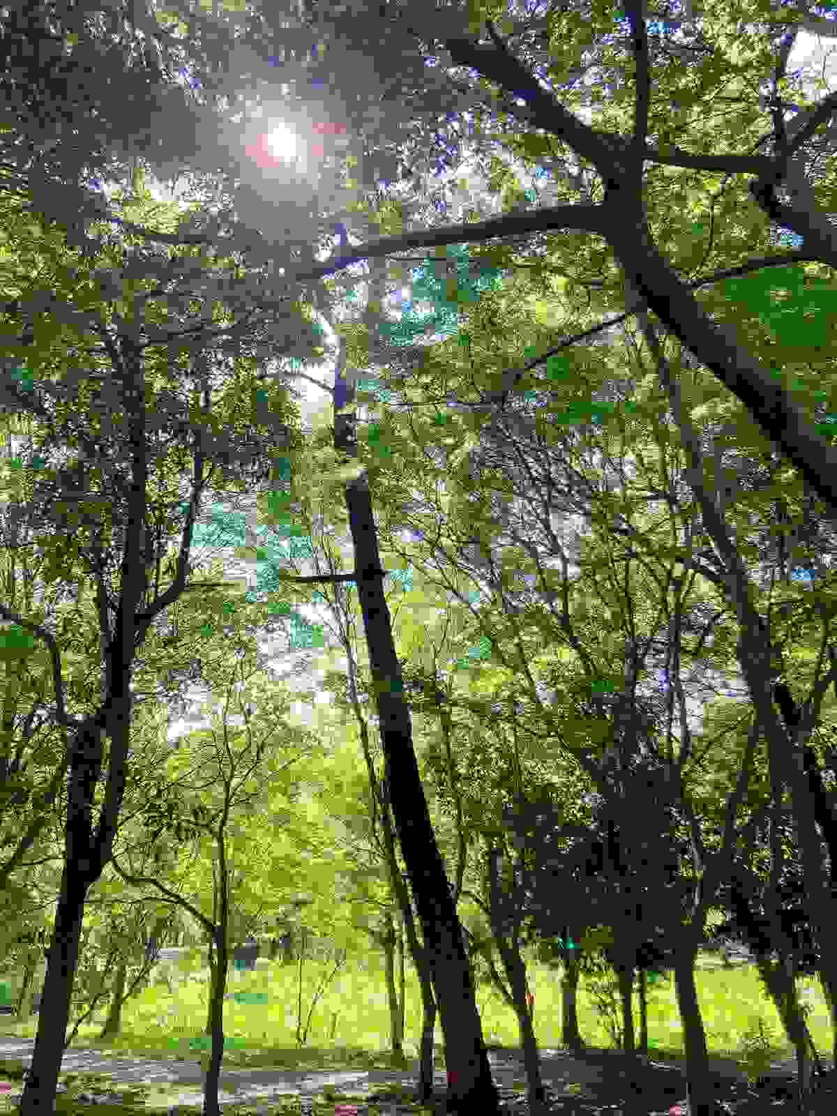 Section image