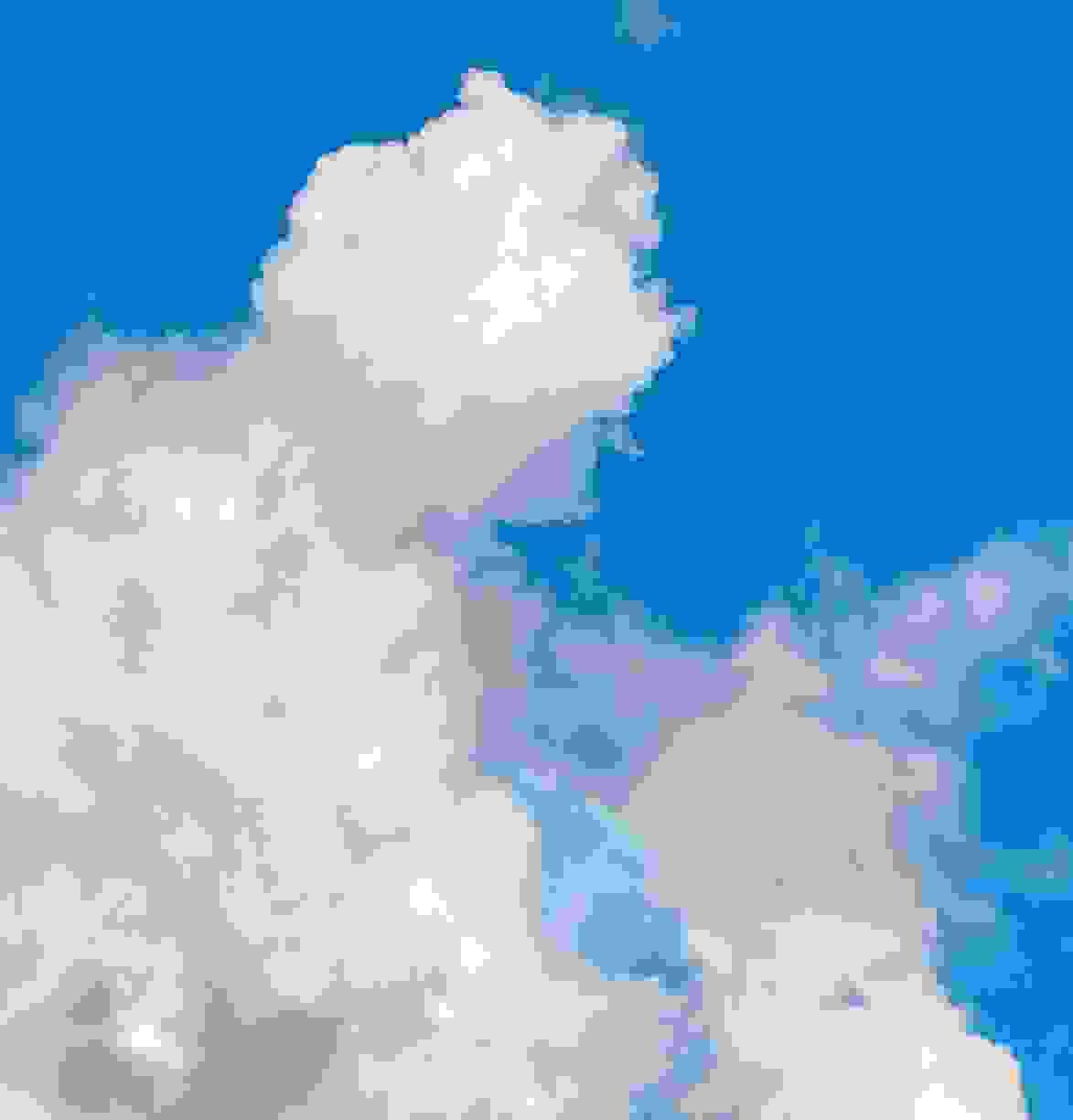 Section image