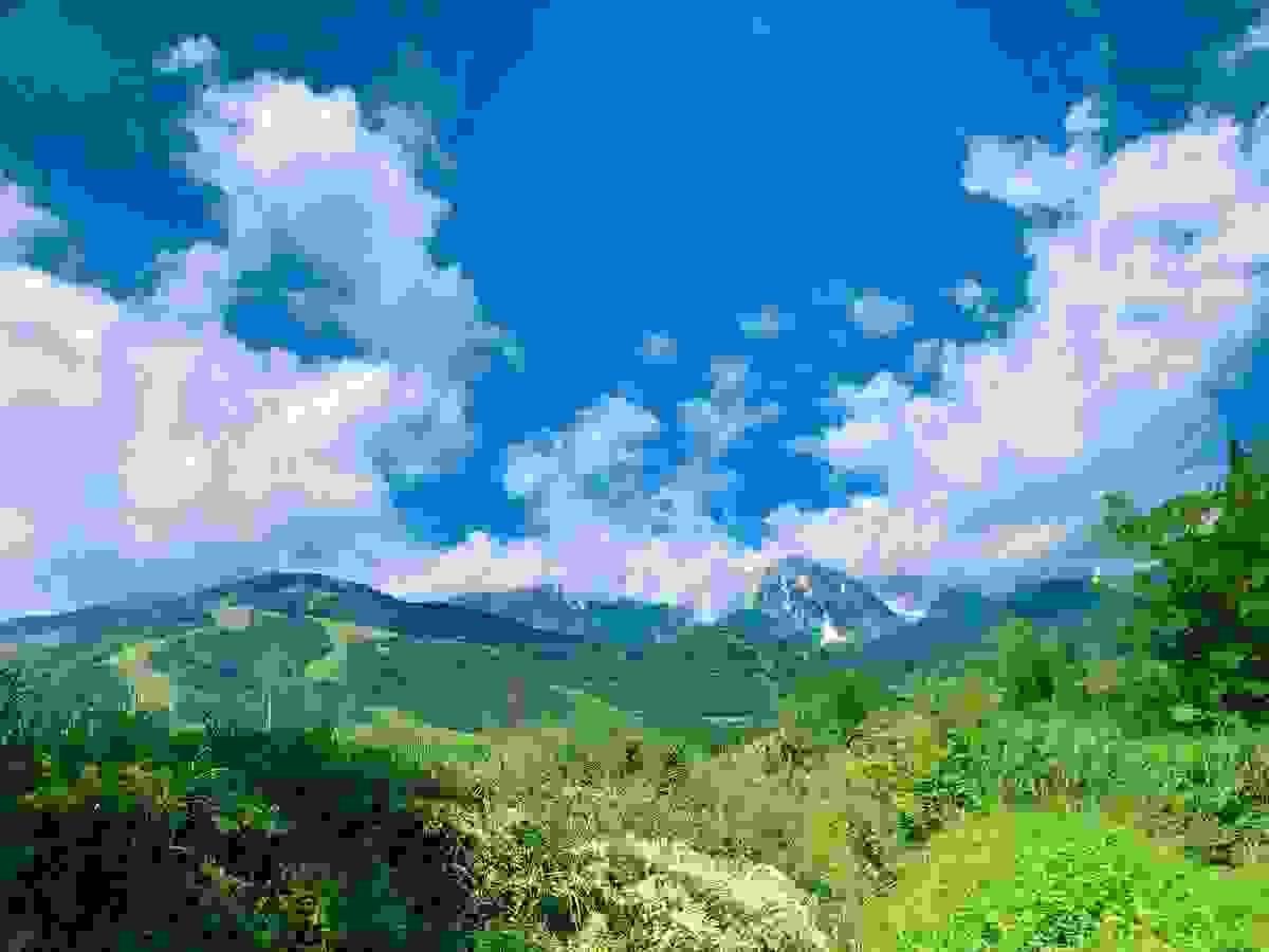 Section image