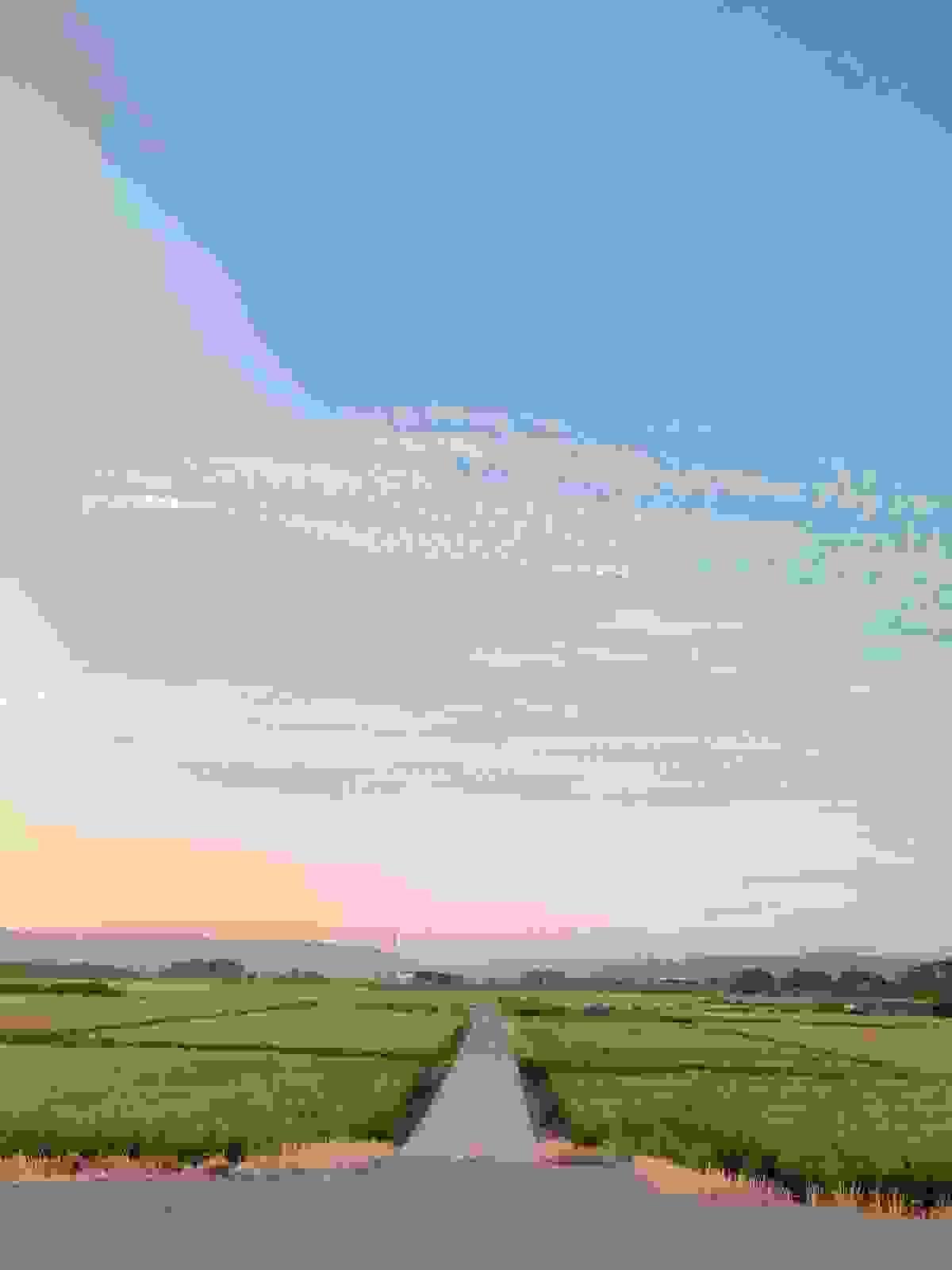 broken image
