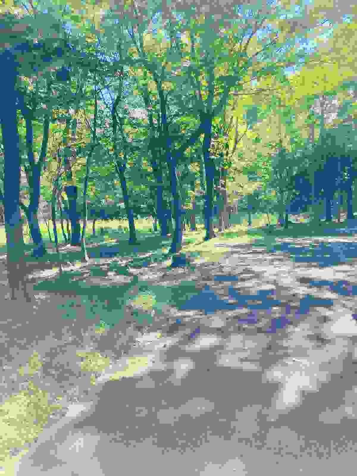 Section image