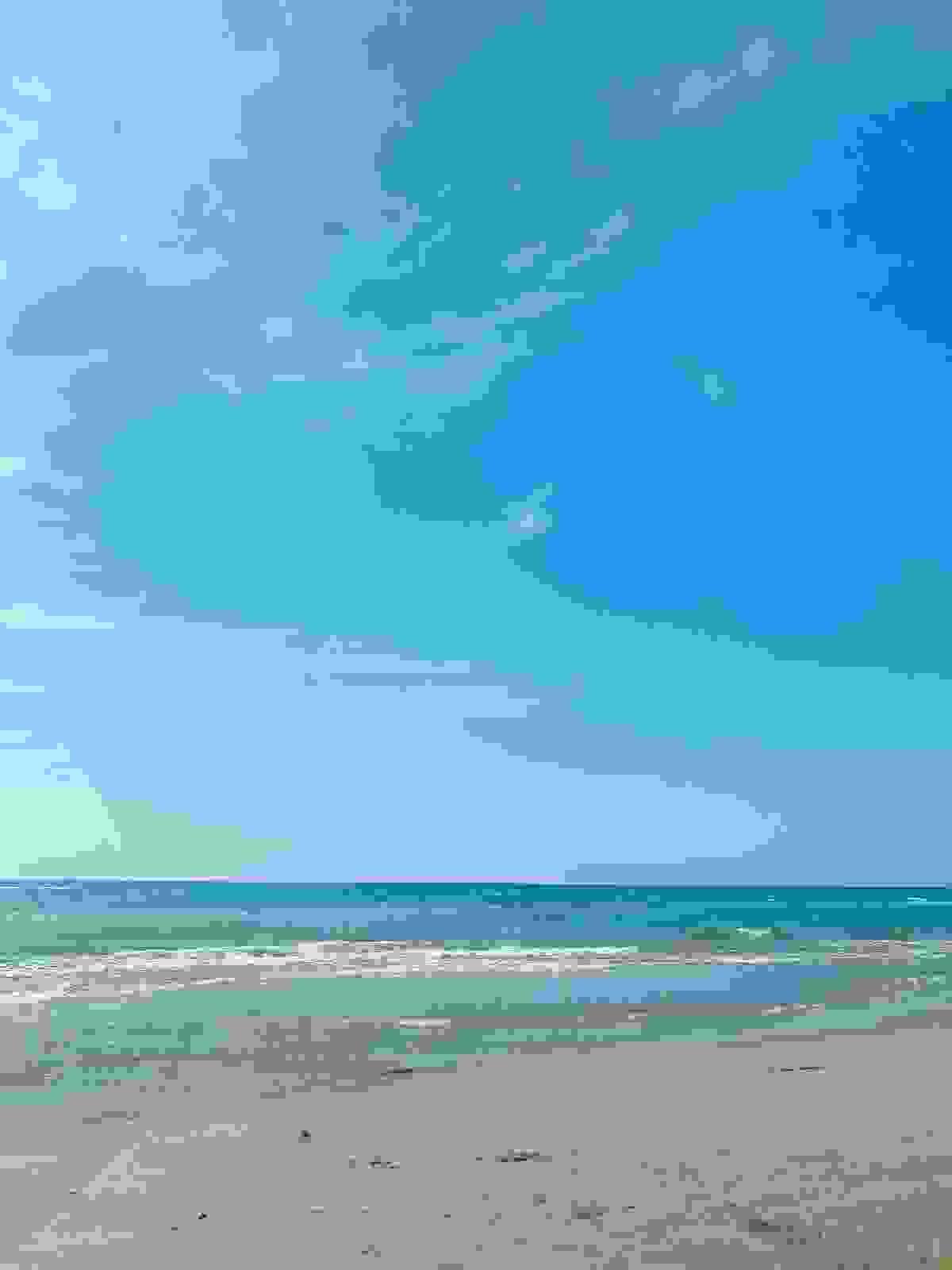 Section image