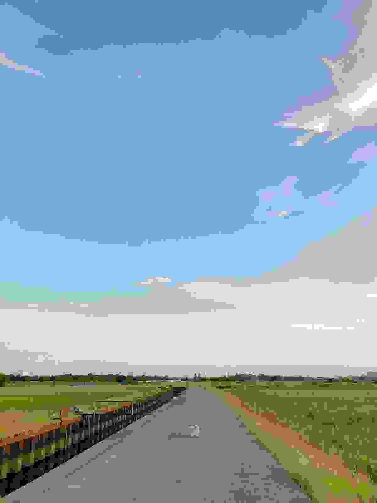 Section image