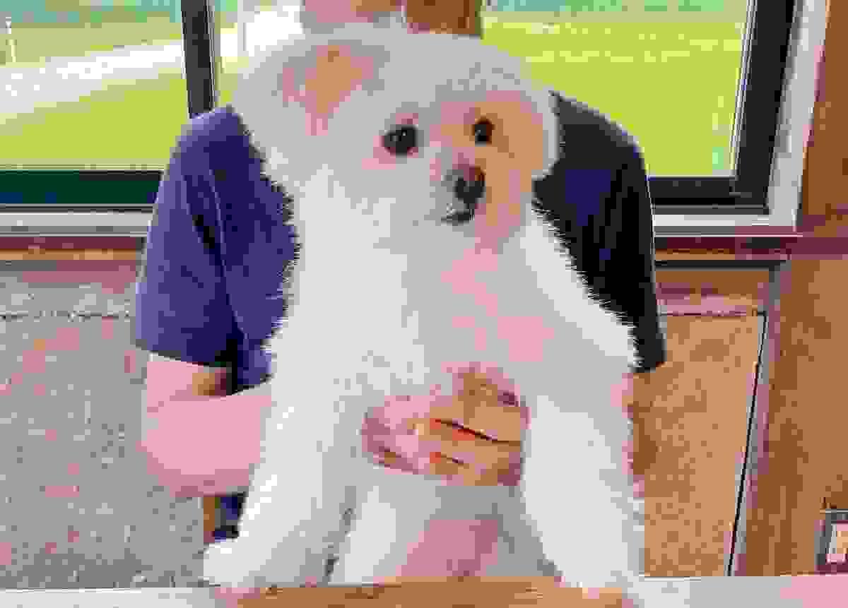 broken image