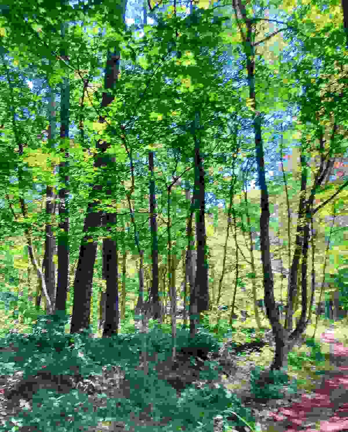 Section image