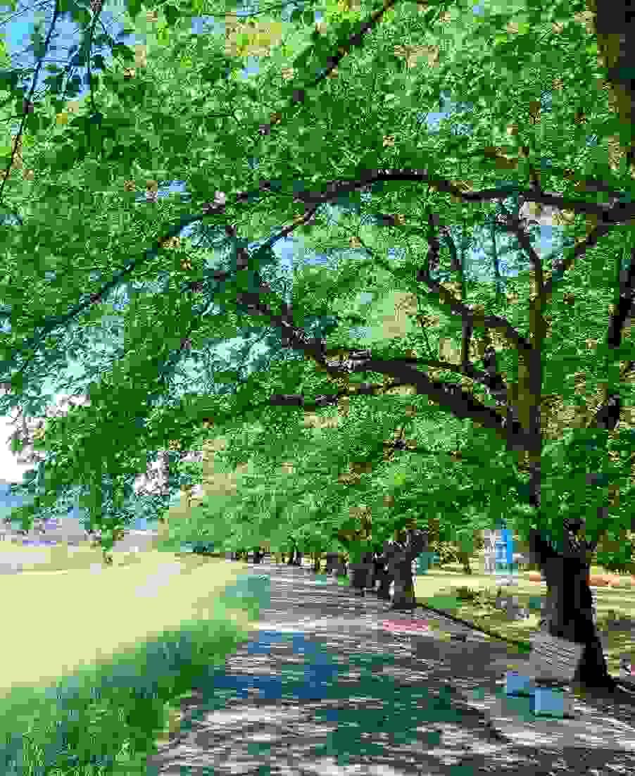 Section image