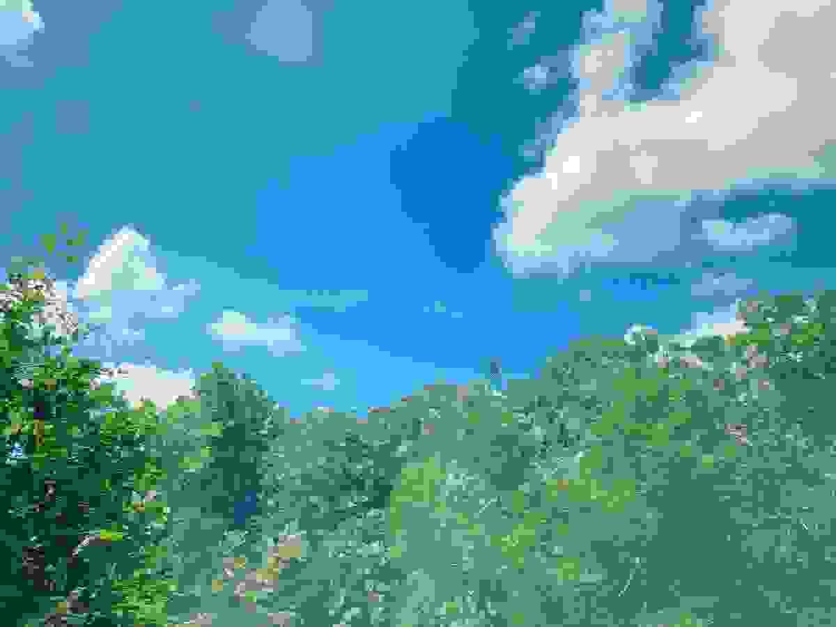 Section image