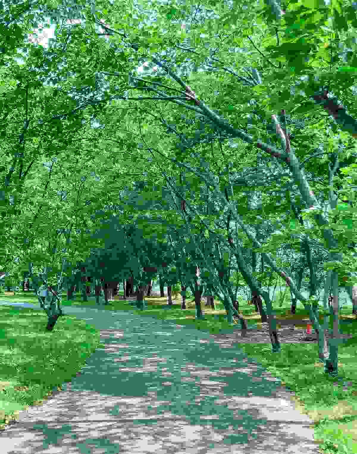 Section image
