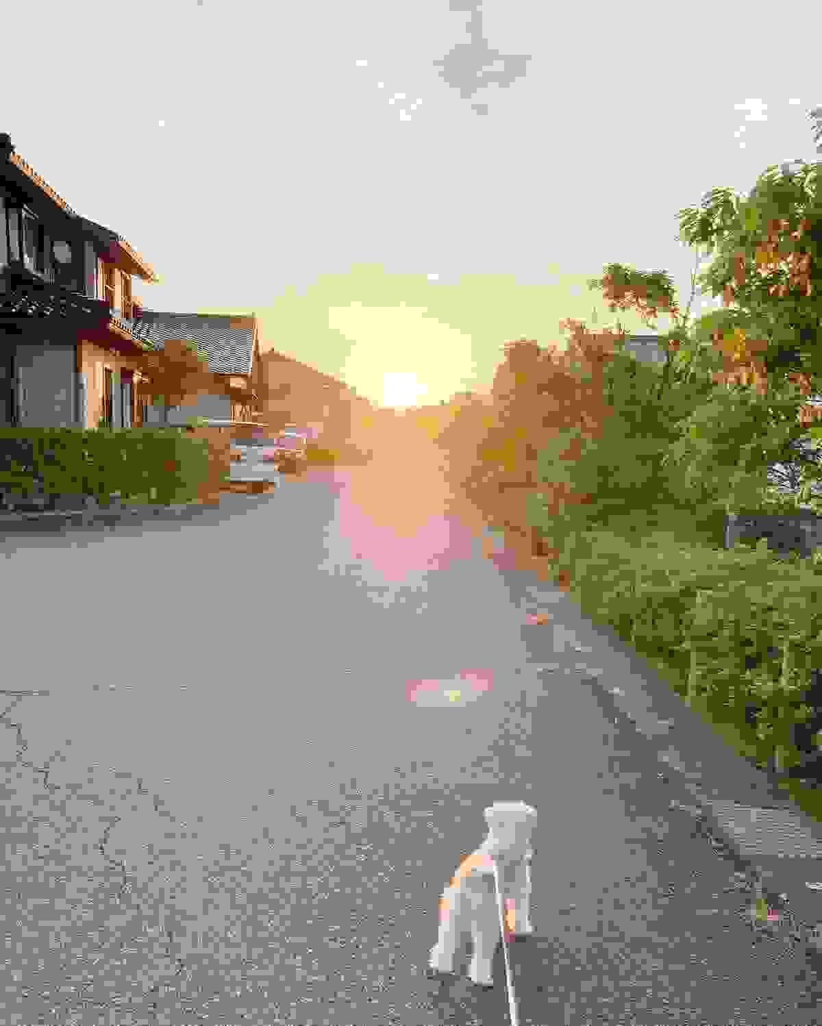 Section image