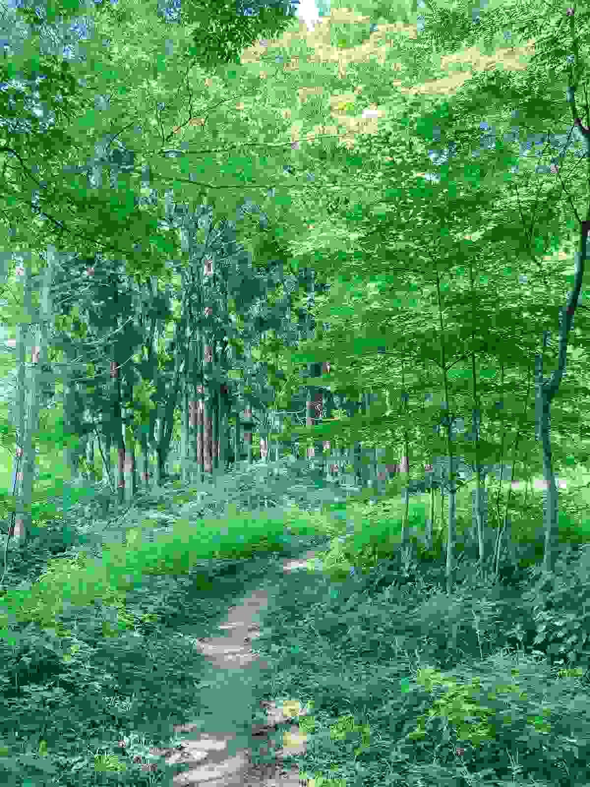 Section image